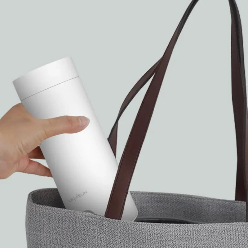 Mini Electric Kettle
